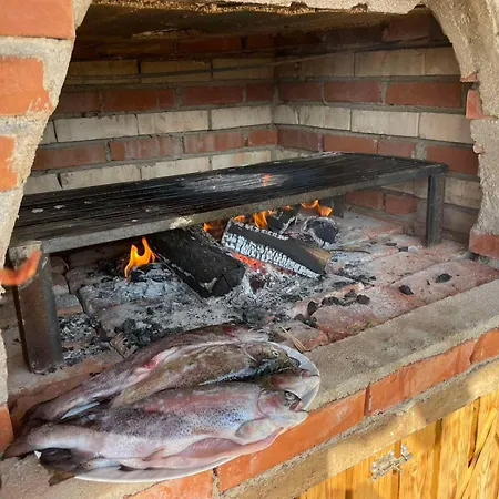 Holiday home Jovan Vojnica