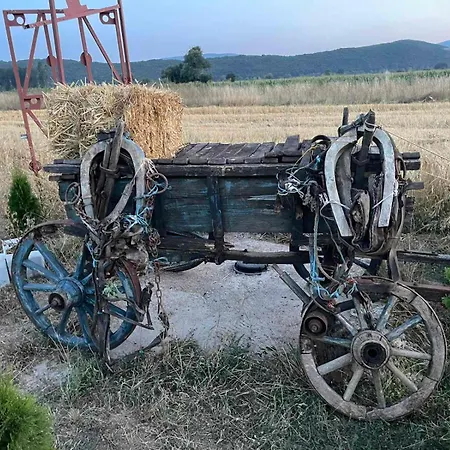 Jovan * Vojnica